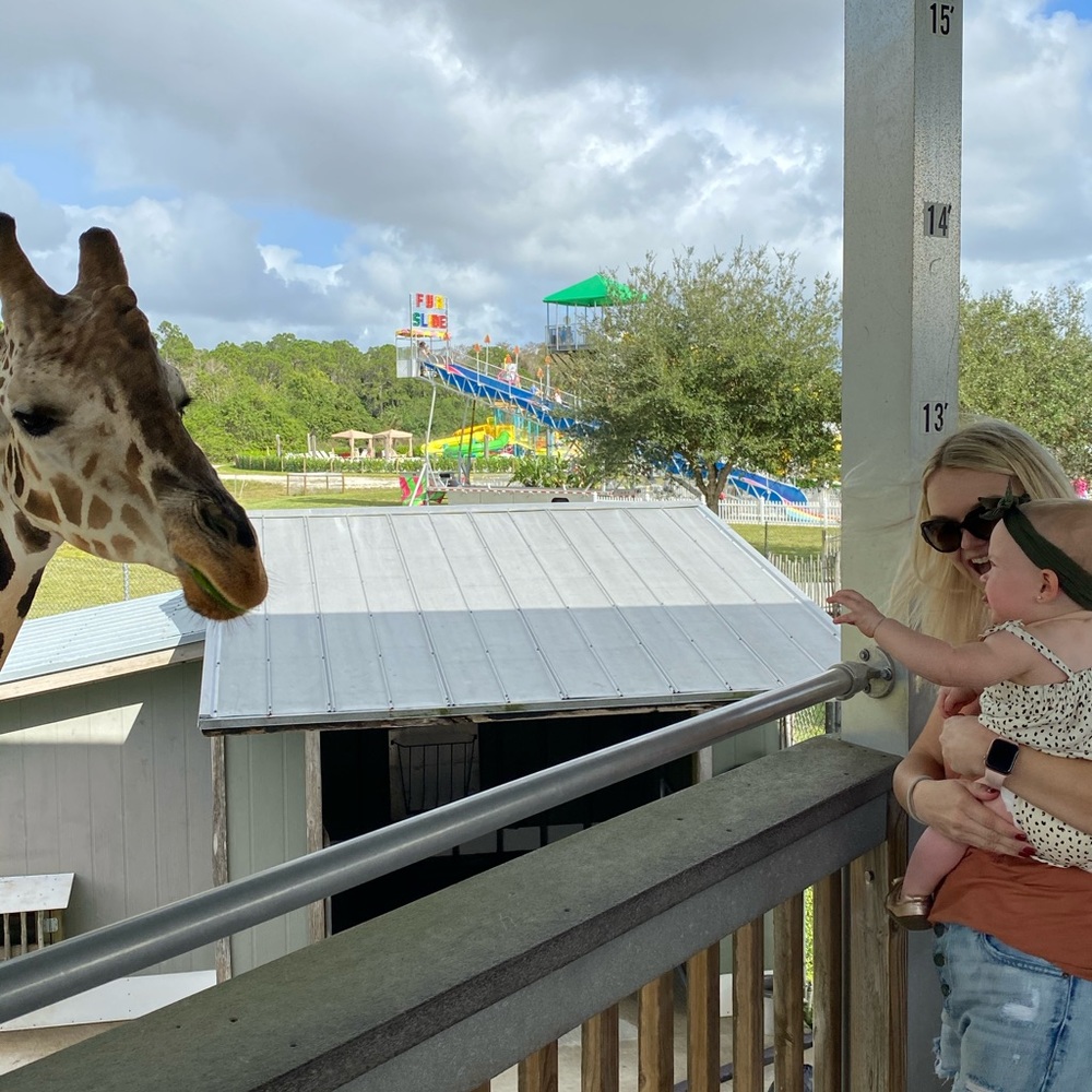 Meet your Posher, Kelly